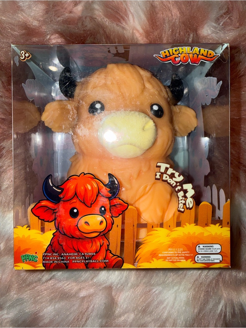 RMS Squissy Highland Cow